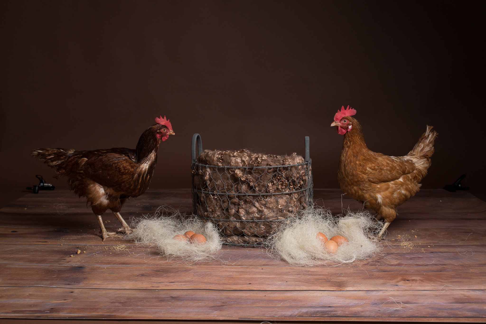 chickens and a basket of eggs